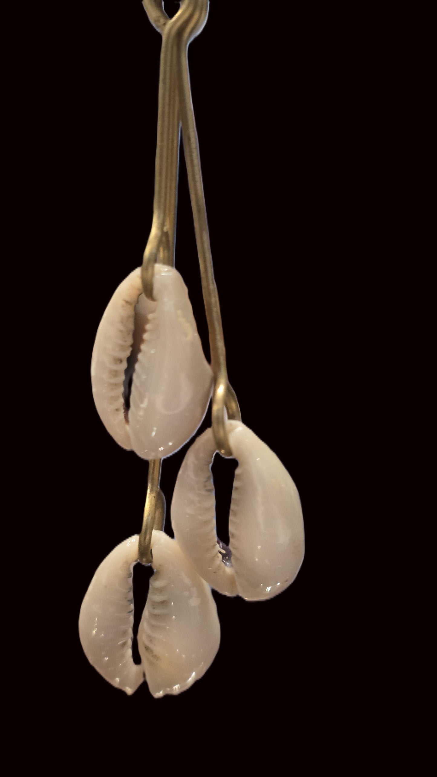 Staggered Cowry Shell Earrings